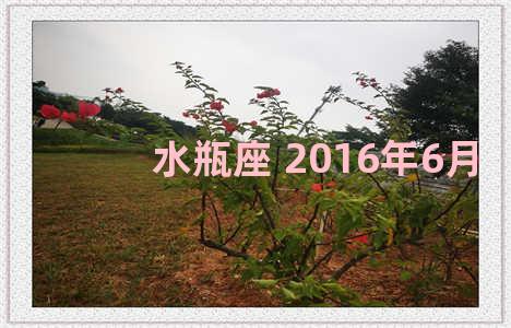 水瓶座 2016年6月